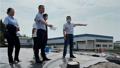 向诚：坚定扛起政治责任 筑牢安全出产防线