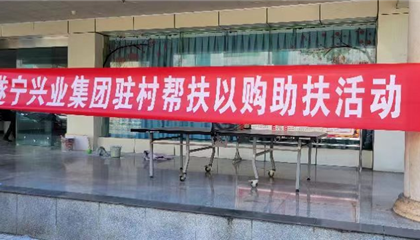 消费助扶见真情 助农增收促振兴