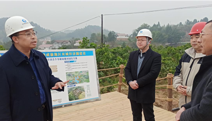 石镇槐督导调研遂星实业公司沉点项目建设工作