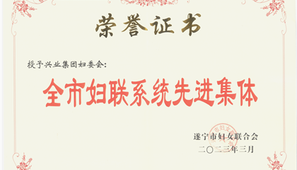 喜报！z6com官网集团妇委会荣获“全市妇联系统先进集体”荣誉称号