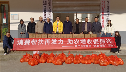 消费助扶再发力 助农增收促振兴