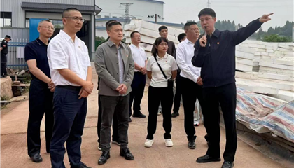 z6com官网集团党委发展“党建引领聚合力 攻坚克难显担任”主题党日暨现场讲授活动